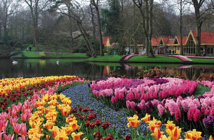 Shore excursions and activities on Spirit of the Moselle